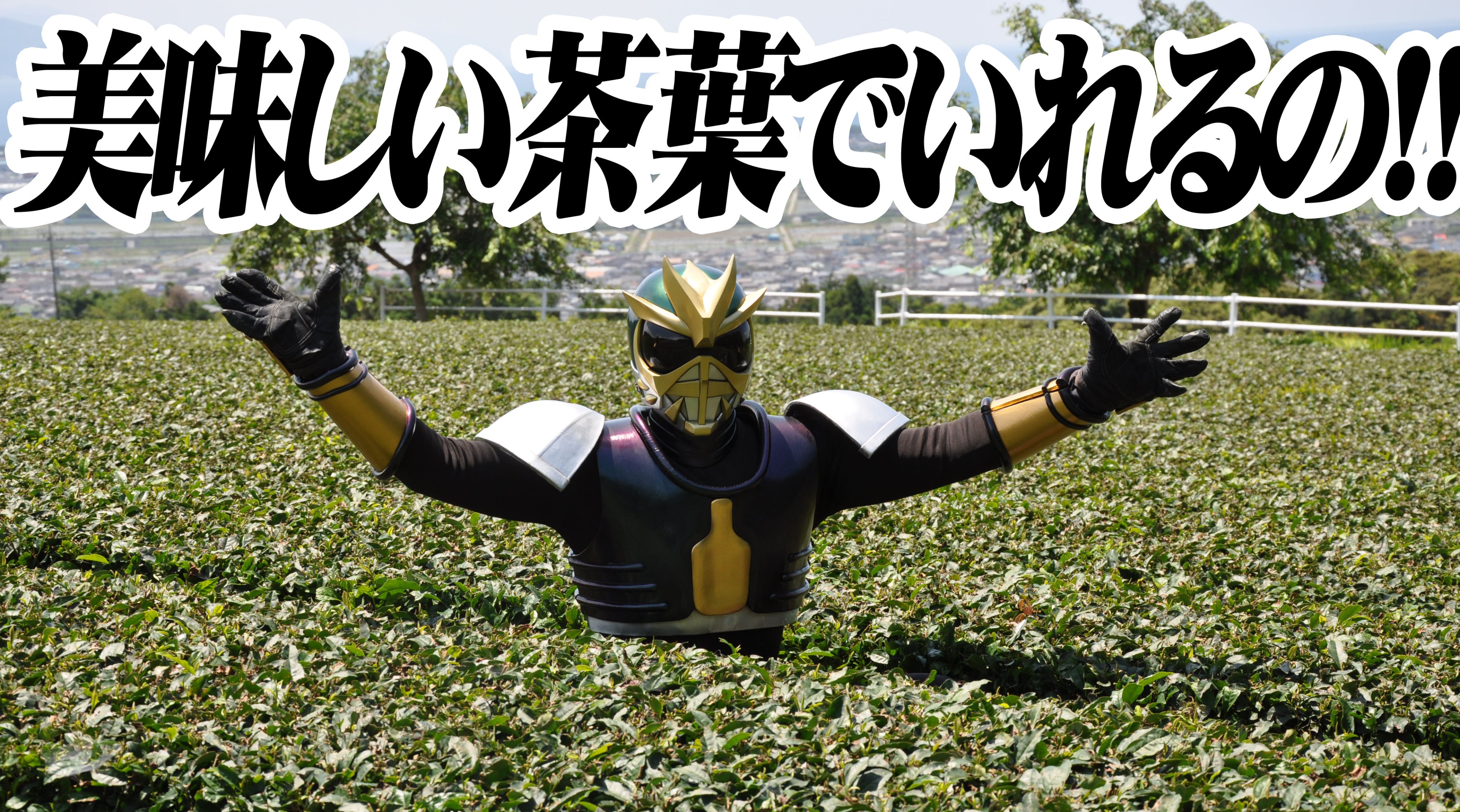 茶神8 8cha Twitter