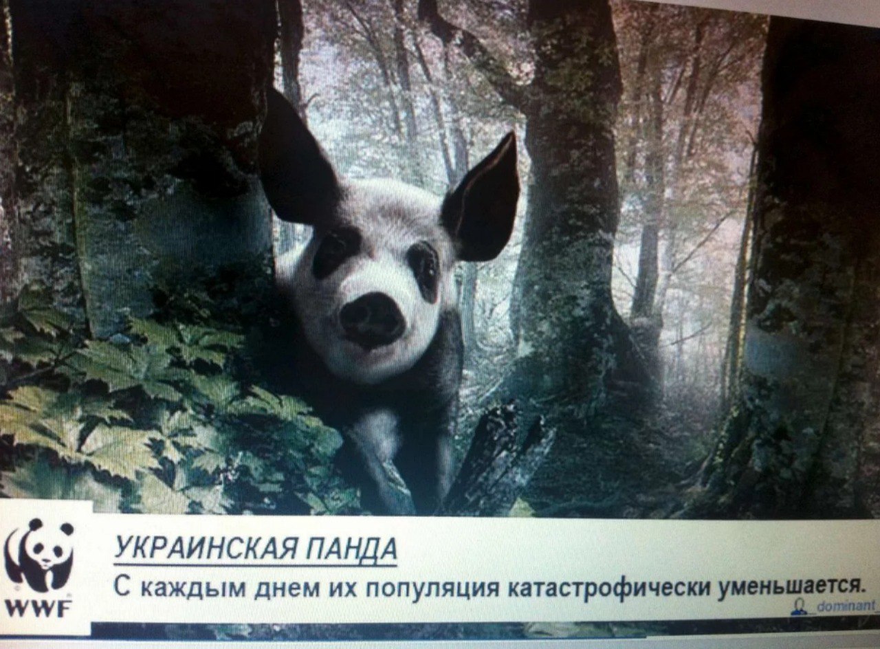 FCYMKB-XoAYmHm5?format=jpg&name=large