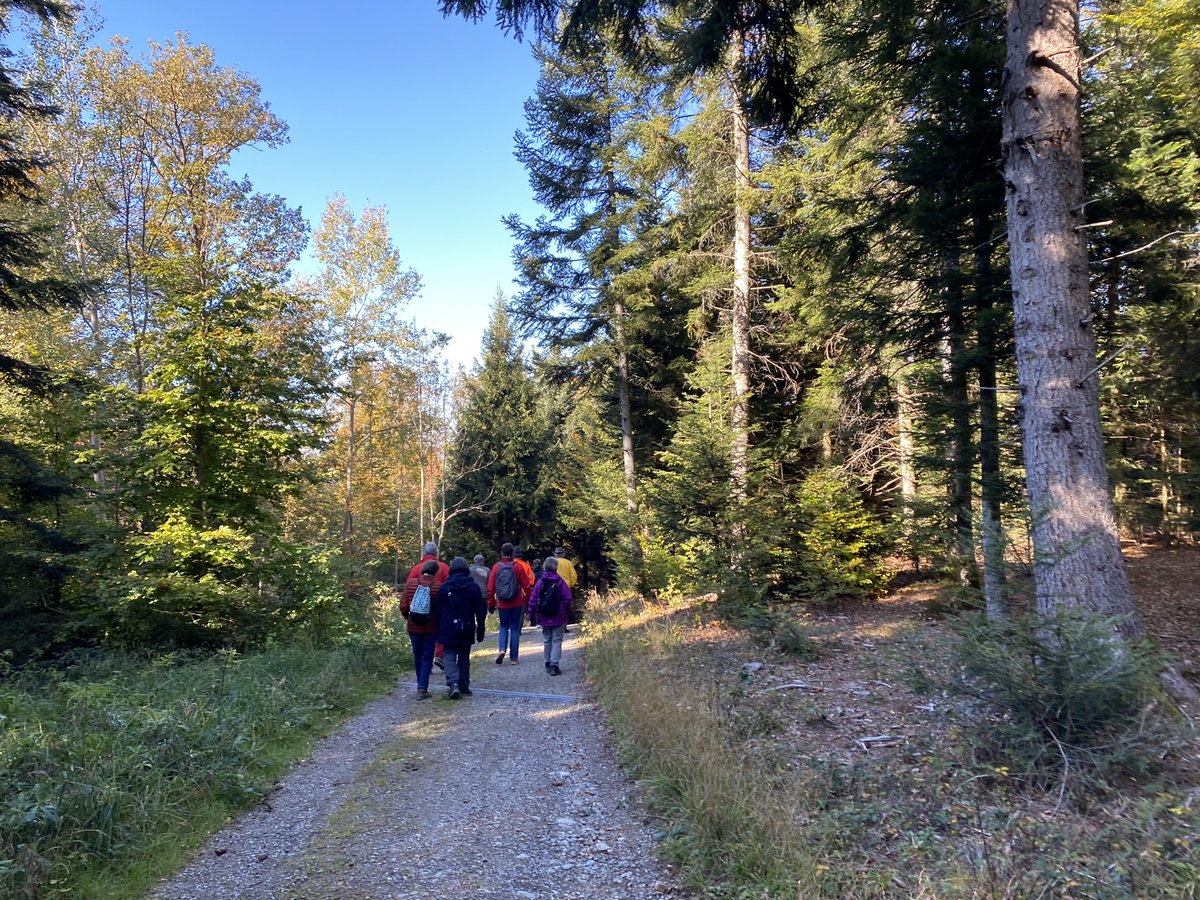 VerbandSvbk's tweet photo. Waldtag der Burgergemeinden Thun, Steffisburg und Heimberg. Vom Samen bis zum Endprodukt. 🌱🌲🪵 #Wald #Holz #Pellets #Schindeln #meinwalddeinwald @bgthun https://t.co/9WZGgkrIWY