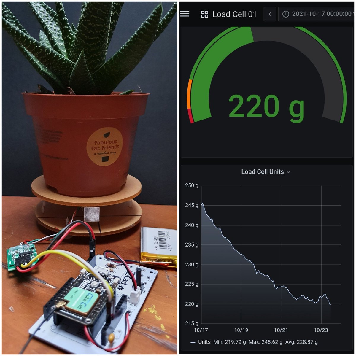 moifdz's tweet photo. ¿A alguien más le parece interesante saber el peso de tú planta, usando un #cubecell de @HeltecOrg con #LoRaWAN @thethingsntwrk y que te avise si ha adelgazado demasiado? 🤪😂🤔🤔 @thinger_io @grafana #IoT https://t.co/QAFbUtRqjK