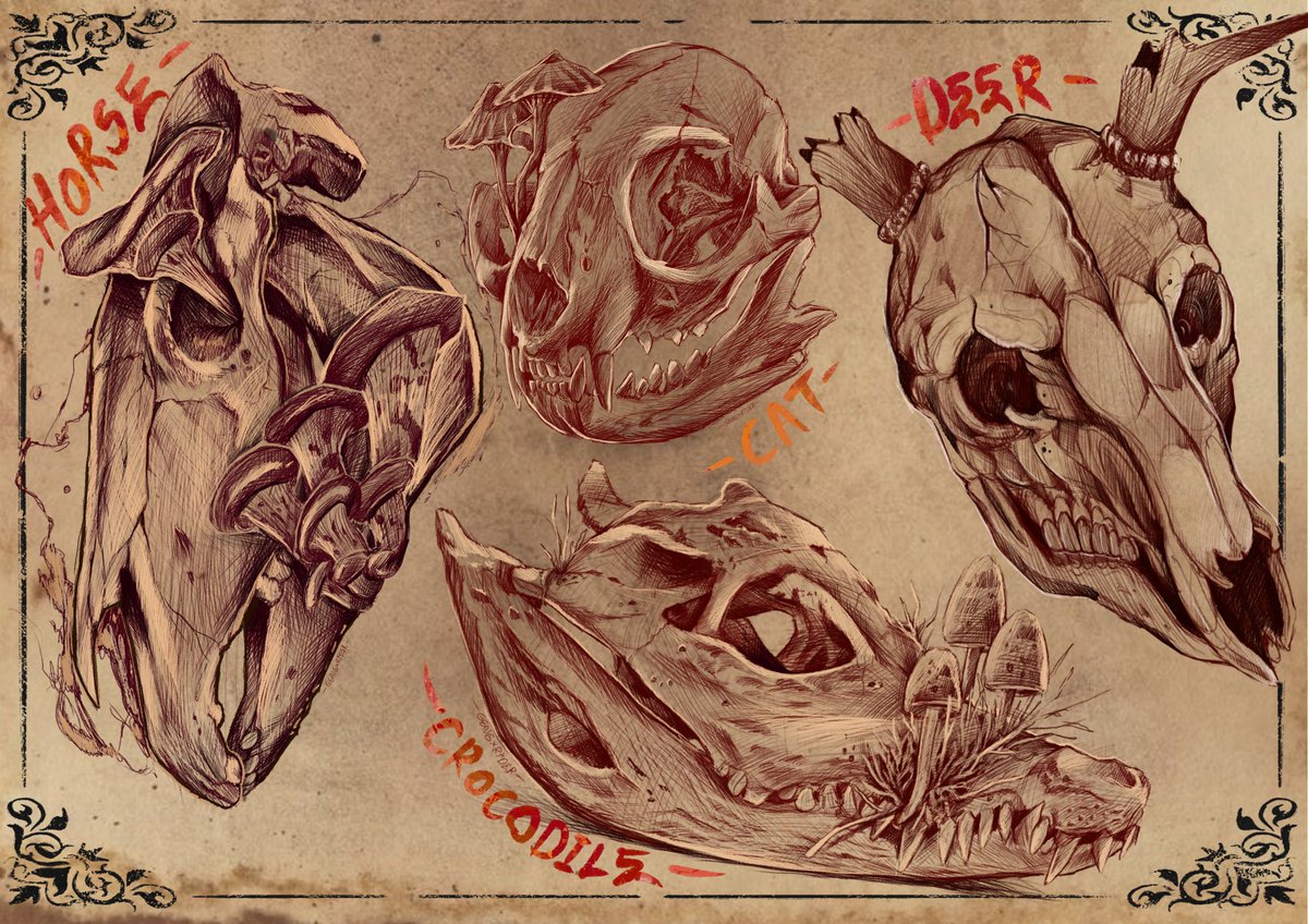Gengrider1's tweet photo. New collection  Death's splendourxt 💀
DropNow! 

Each animal's skull has its own distinct beauty. It appeals to me, and I drew it myself.  

📌https://t.co/bq570JCrnU 

#NFTs #NFTartist #skullnft #NFTCommunity #nftcollector #OpenSeaNFT https://t.co/diBQ5adR9G