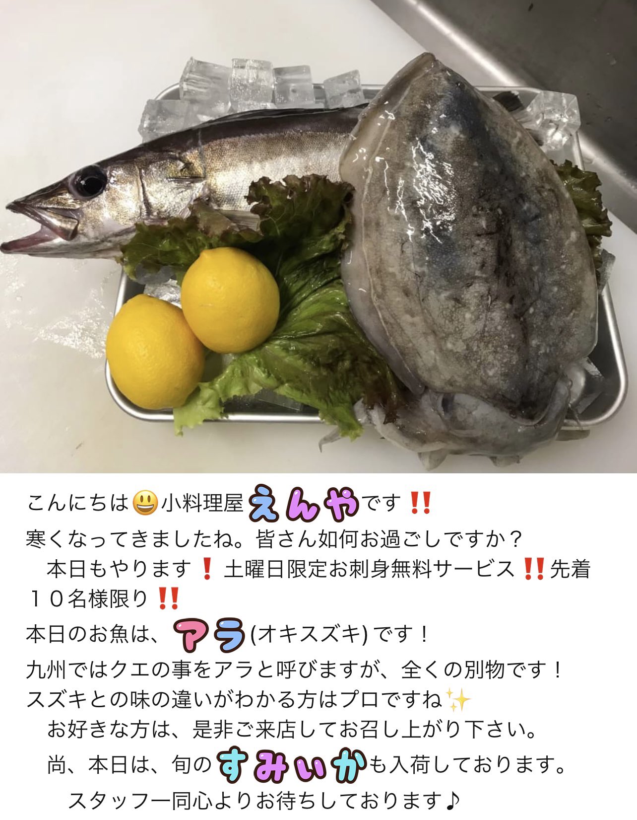 M Sグループ Enya 14 Twitter