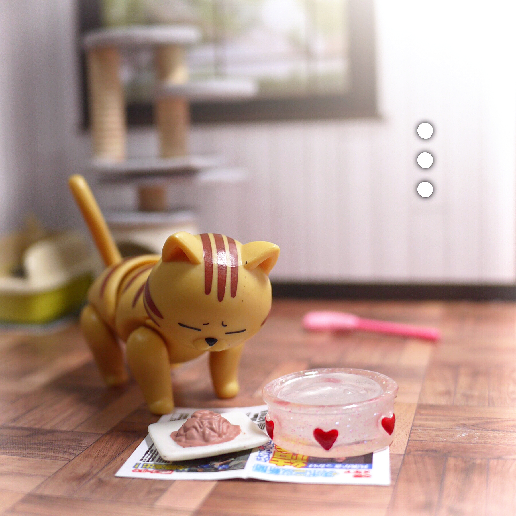 猫の飼育セット Twitter Search Twitter