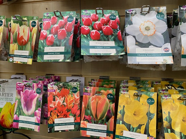 Plant spring flowering bulbs now for a fantastic spring surprise! - mailchi.mp/e3314f05a2c3/a…