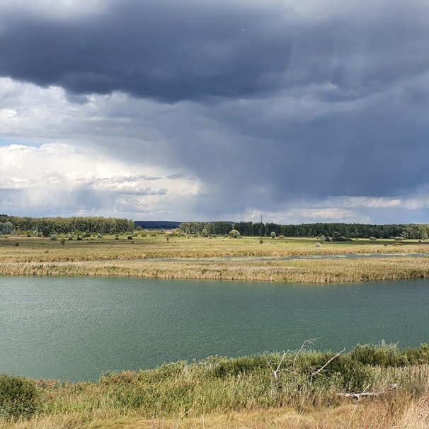 15 октября началось интернет-голосование за творческие работы участников конкурса #Экочудо2021.От Приволжского района участвуют три работы. Их авторы Гаранина Юлия (Заволжье), Рыбакова Дарья (Приволжье) и Насенкова Анастасия (Обшаровка). Вы тоже можете проголосовать за их работы.