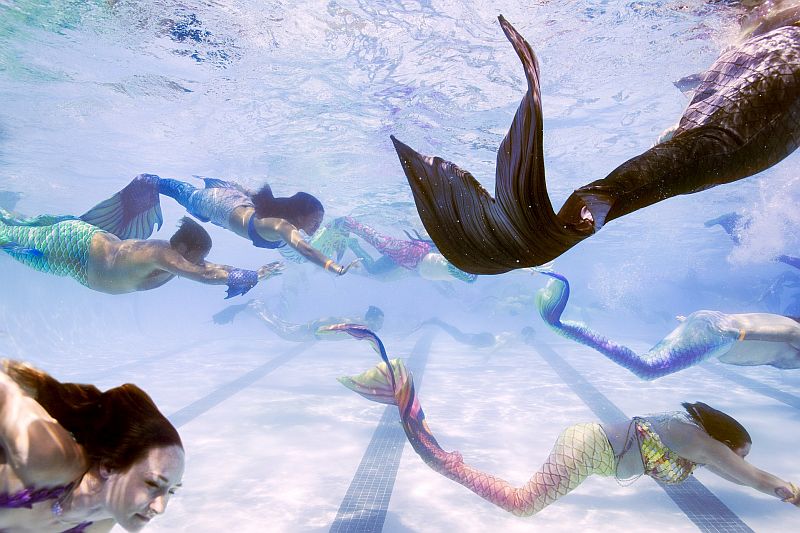 #Laatstekans. Ja, je ziet het goed 🐬. Zwemmende zeemeerminnen. 'The makeble mind' is het thema van het Noorderlicht Fotofestival 2021, dit jaar in <a href="/MuseumHveen/">Museum Heerenveen</a>. Het gaat over mensen die hun eigen leven ombuigen naar fictie. Nog te zien t/m 31 oktober: 
museum.nl/nl/heerenveen-…