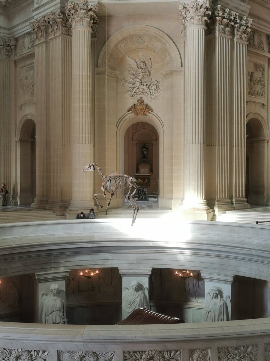 PhilippeMeaille's tweet photo. Napoléon Encore ! à l'hôtel des Invalides.

#PascalConvert #MementoMarengo https://t.co/rzgdDReJUW