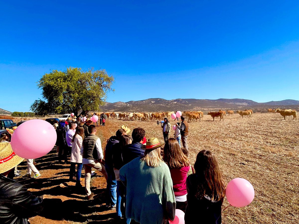 CasaGutier's tweet photo. ¡Arranca nuestra jornada de Ganader@s por un día en colaboración con #Apacama! ☺️

Muchísimas gracias a todos los #MeatLovers que nos estáis acompañando durante esta jornada 🐮🥩 https://t.co/kB3C0zEoZl