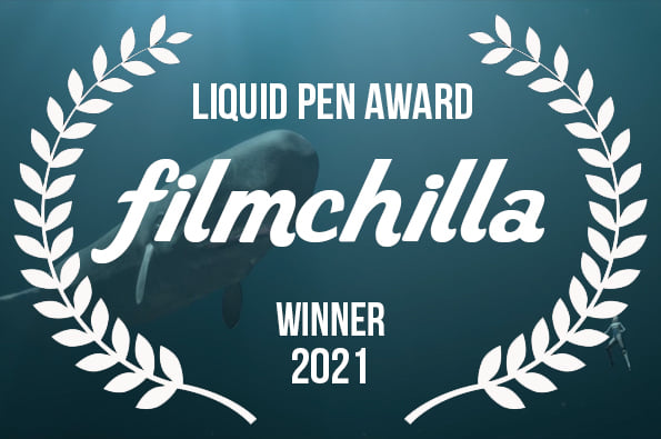 2021 Filmchilla Awards