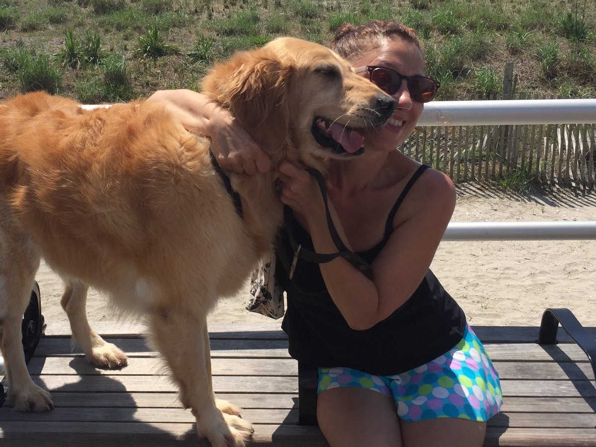 My sweet dog Angel #dogsoftwitter #GoldenRetrievers #dogs