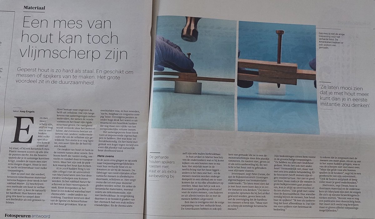 Interessant artikel <a href="/trouw/">Trouw</a> ! Toepassing verhard hout.