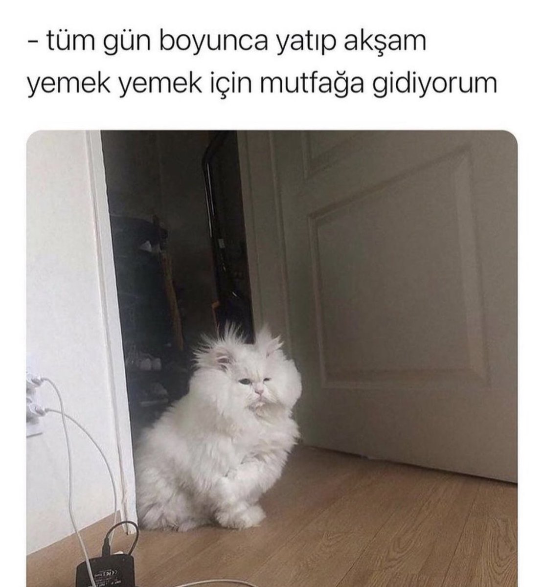 Chester (@kedichester) on Twitter photo 