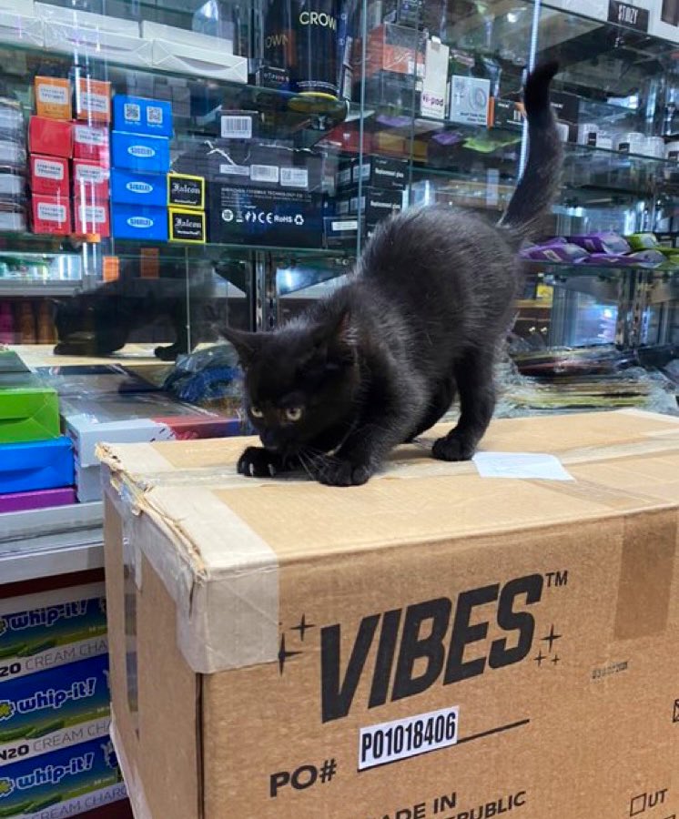 📷 <a href="/trashcaat/">m a r i s s a</a>