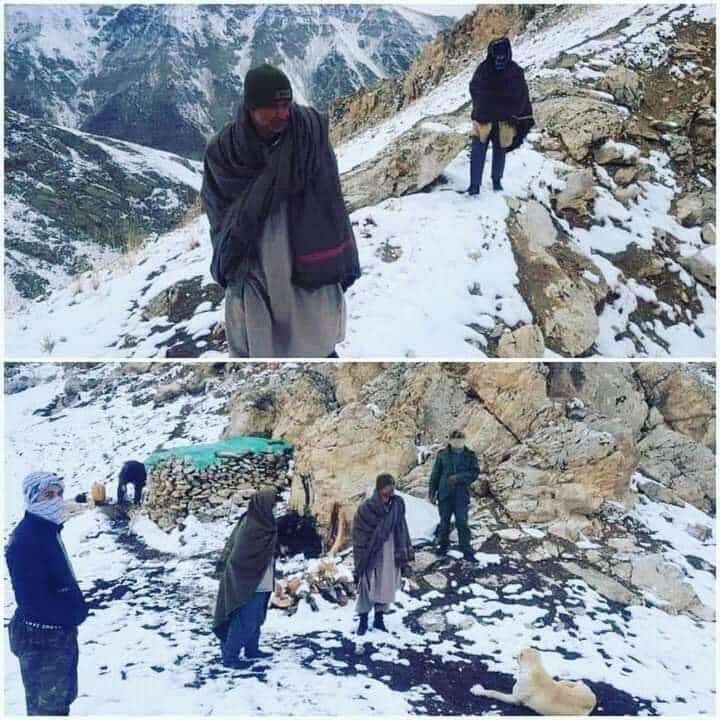1234421khalid's tweet photo. هستیم بر آن عهد که بستیم، سگ ما بسیار با وفا تر و با وقار تر از بسیار از انسانها است.
مقاومت برای آزادی❤️☝️ https://t.co/FyN61KSP0n