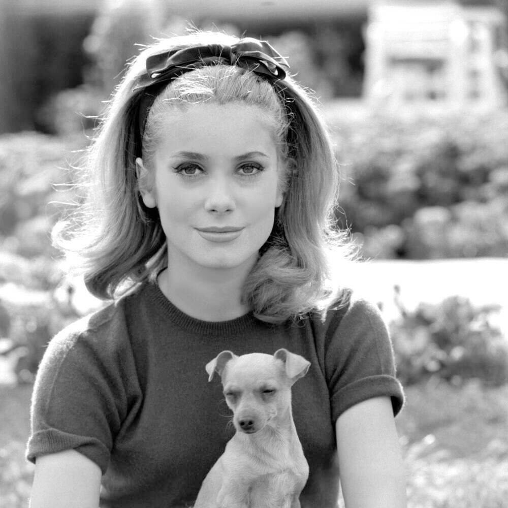 Happy birthday to French actress, singer, model, and producer Catherine Deneuve, born October 22, 1943. 