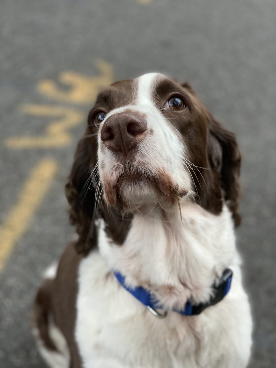 “It’s Saturday! Keep your head up no matter what. Unless you see a ball on the ground. Yesterday was a bad day. Let’s talk no more of it. Also I love you.”