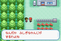 改造ポケモンに久しぶりに触れた話と改造feの話 まむくーとのかきだめ
