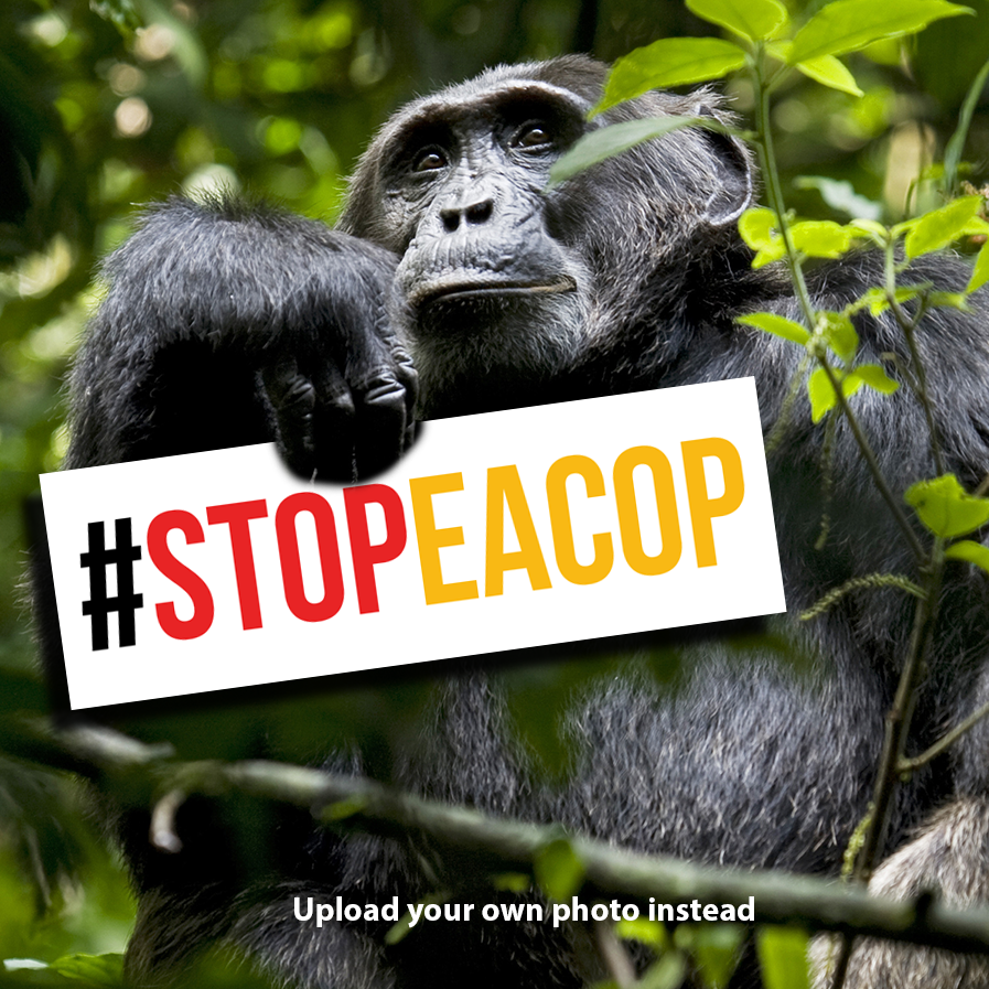 stopEACOP's tweet photo. WE NEED YOU 

6 of our colleagues from Ug were arrested yesterday. Their crime? Standing with communities to push for free prior &amp; informed consent on projects including EACOP

Sign this petition asking Inspector Gen of @PoliceUg to release our friends

https://t.co/VMtVgd1sgw https://t.co/SKgpdYFOVj
