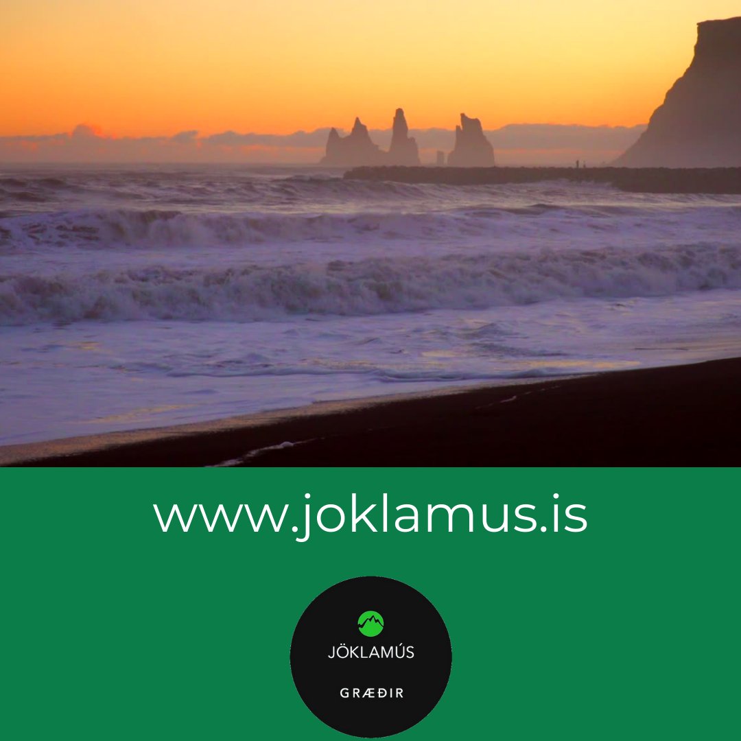 Jöklamús vörurnar fást á vefnum okkar.
Við sendum frítt um allt.
joklamus.is