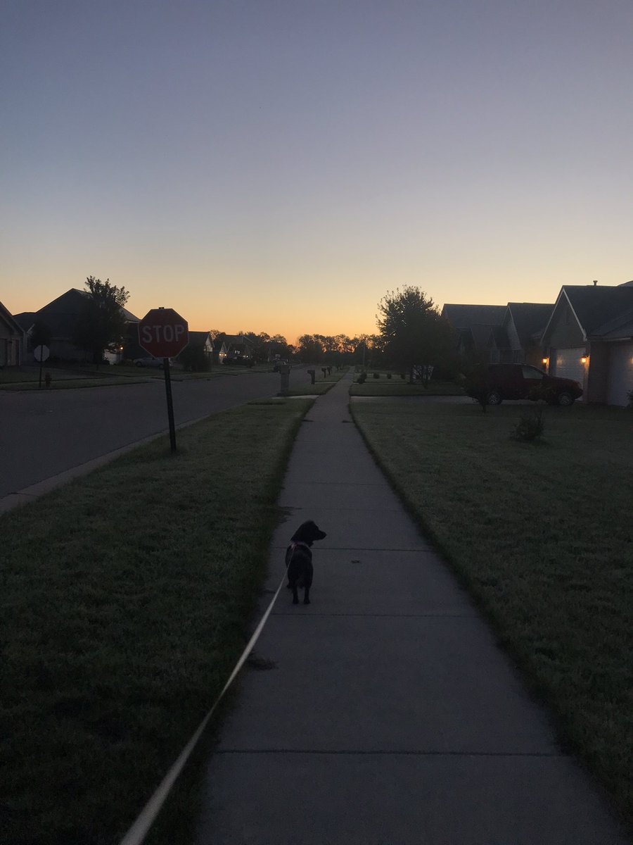 A little chilly this morning with frost on the ground, but we are going to get a perfect fall day to say “I do”. <a href="/adriii_king/">αdrienne ❁</a>