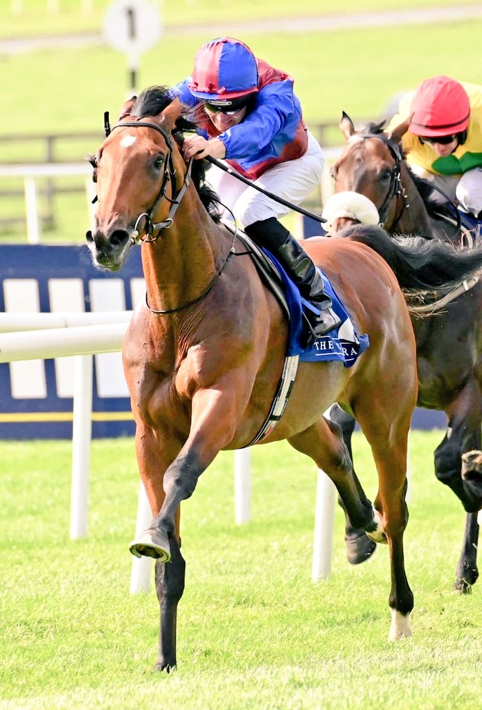 😍 If LUXEMBOURG 🇱🇺 Wins the Vetrem Futurity Stakes at Donny today I'll give £50 CASH to one of you! 💷

To enter:

1️⃣ RT this tweet
2️⃣ Follow this account

🏆 Good Luck! #Doncaster 🏇