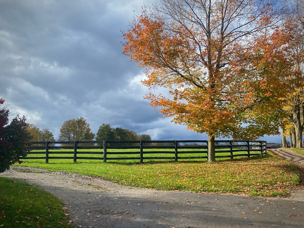 LongRunTB's tweet photo. More Fall scenes from the farm, landscape is stunning ๐คฉ
#Fall #falllandscapes #farmlife #ottbs #longrun_tb https://t.co/mNQAAF5JuZ