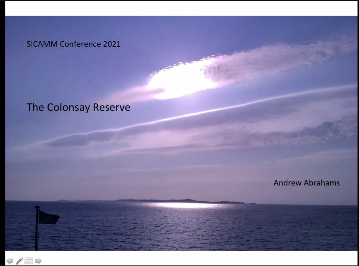 SicammF's tweet photo. We just had a great talk on wild honey bees in Ireland with Prof Grace McCormack
Next up is Andrew Abrahams with the Colonsay honey bee reserve. 
Sicamm 2021 #Online #conference #today https://t.co/iyZ5ZutATO
