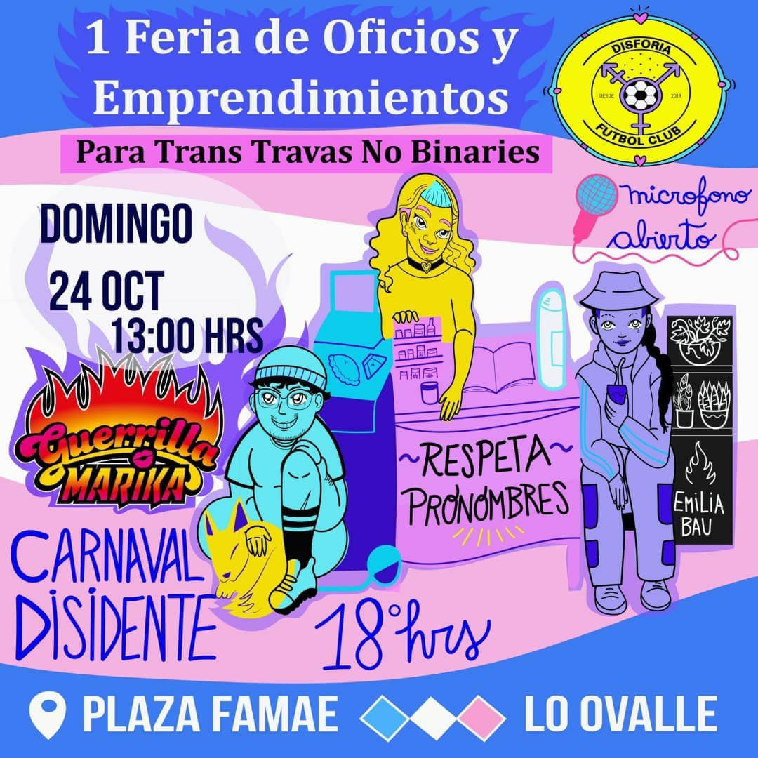 Salud Trans Para Chile tweet media