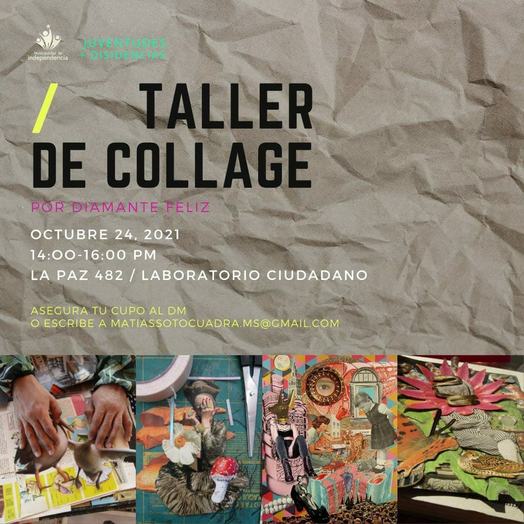 Salud Trans Para Chile tweet media