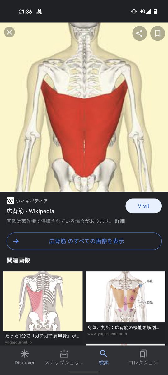 広背筋のtwitterイラスト検索結果