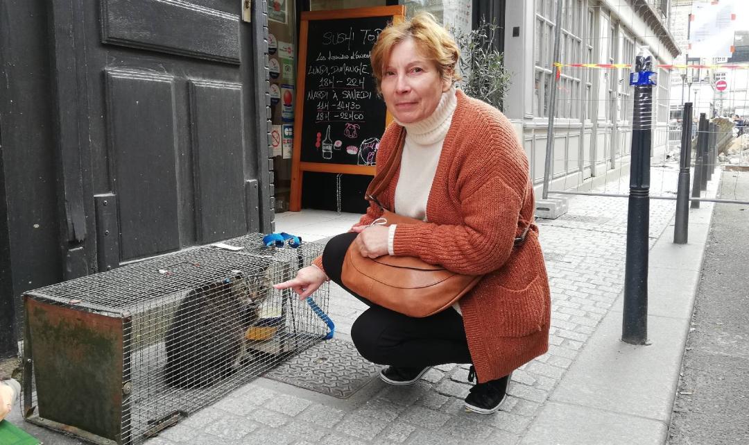 dieppefr's tweet image. Coincé dans un immeuble en péril à #Dieppe, le chat Marius 🐱 a été sauvé par les pompiers et a retrouvé sa maîtresse ce samedi midi !