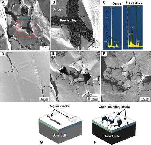 OxInst's tweet image. Heat treatment of Li10Mg alloy forms passivation layer which prevents dendrite formation. A quite promising breakthrough for the batteries of the future! Read more in Kaboli et al, (2020).

👉 okt.to/P4fJex

#SEManalysis #Batteries
