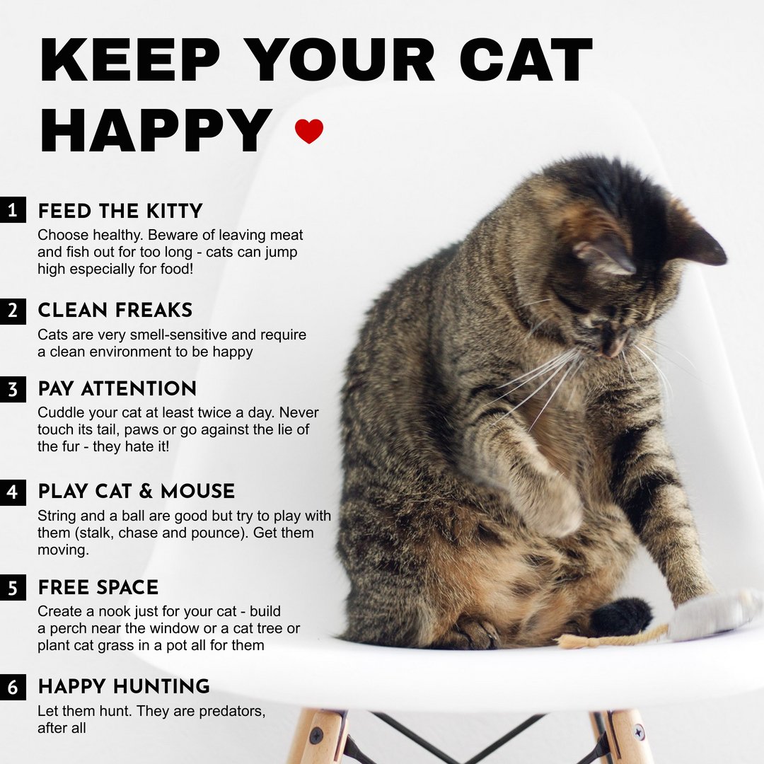 SummersWeIIness's tweet photo. Just like people, every pet has its own unique personality. Learning and adapting to your pet's personality is the key to a satisfying, loving relationship. https://t.co/pMhl37LpdV