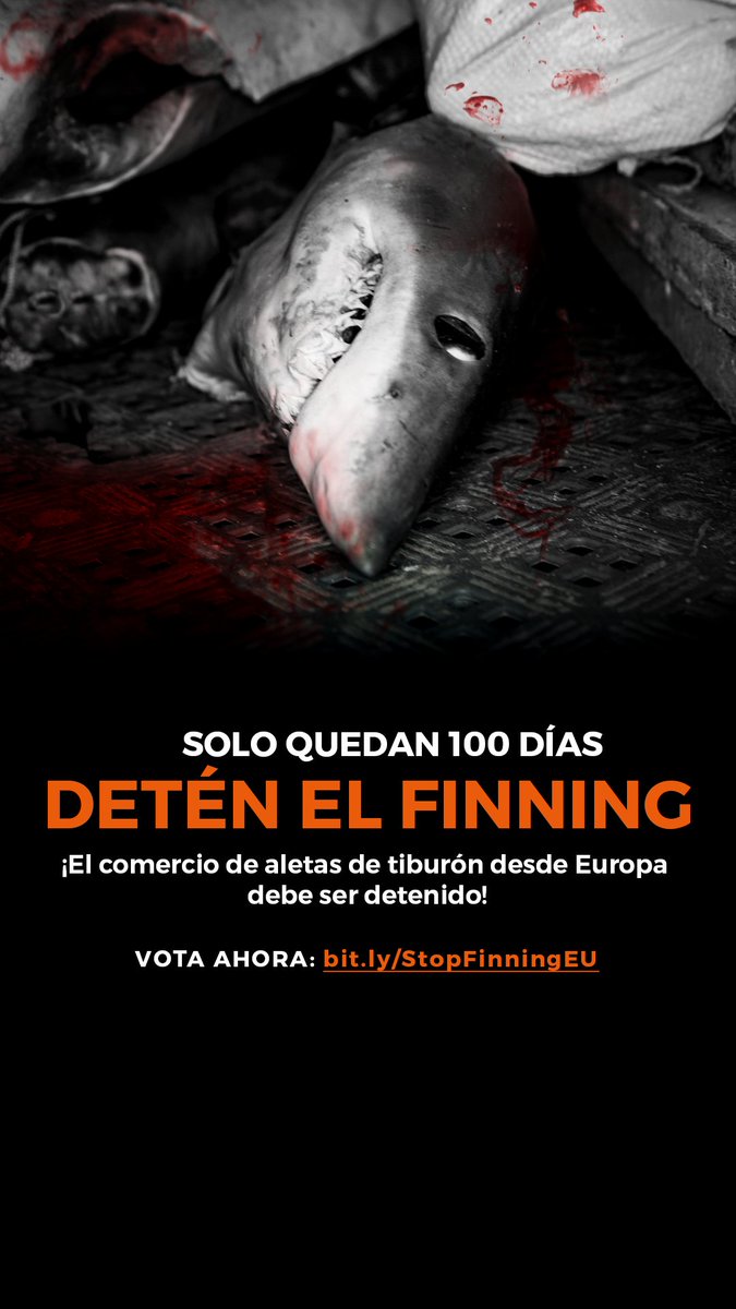 Sea Shepherd España tweet media