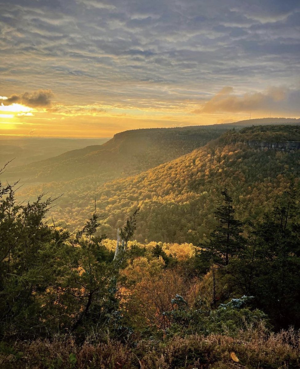 TwoButtonsDeep's tweet image. Meanwhile, in Upstate NY… 🌄 

📷: Thacher State Park