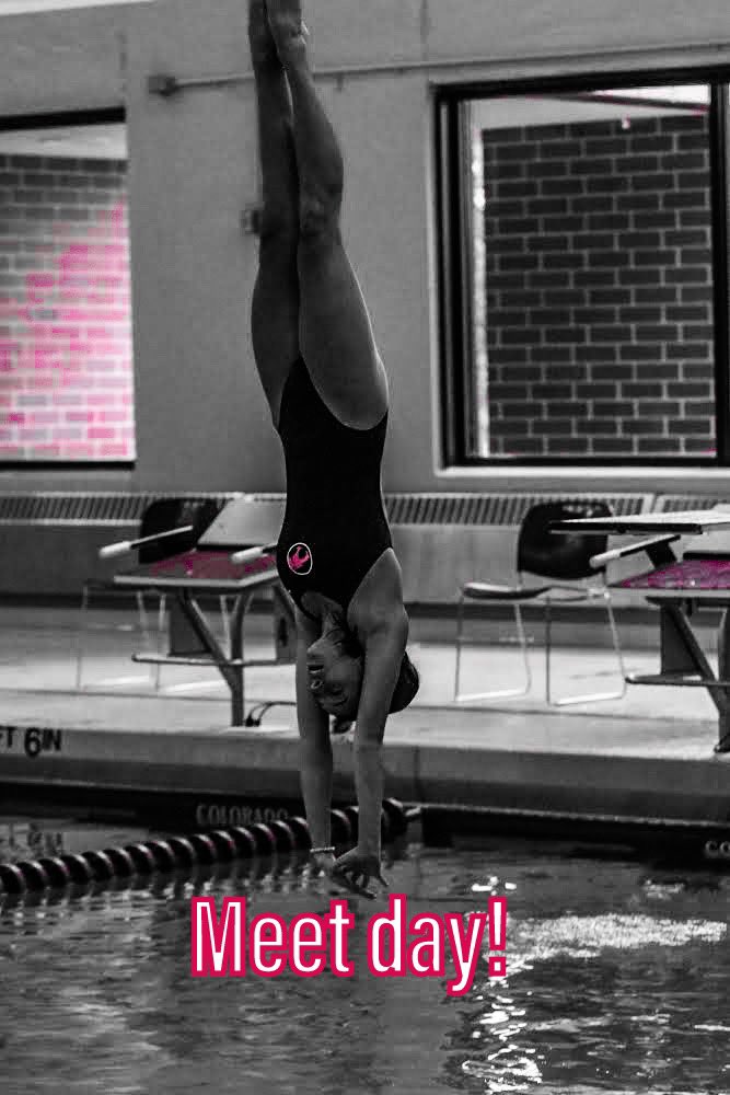 pfldswimming's tweet photo. SPC SWIMMING & DIVING Championship today!
9am diving
1 pm swimming
#OnePlainfield https://t.co/h9xOyDgxR7