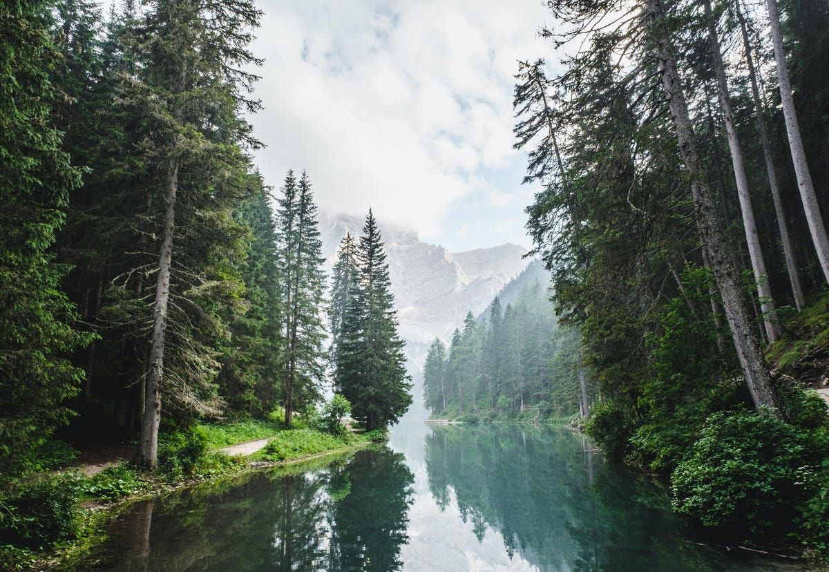 milesquarelabs's tweet image. Increasing Sustainable Logging Practices With The Help Of AI. Read more here: buff.ly/3pvoowI #AI #loggingpractices #innovation #fightsustainability