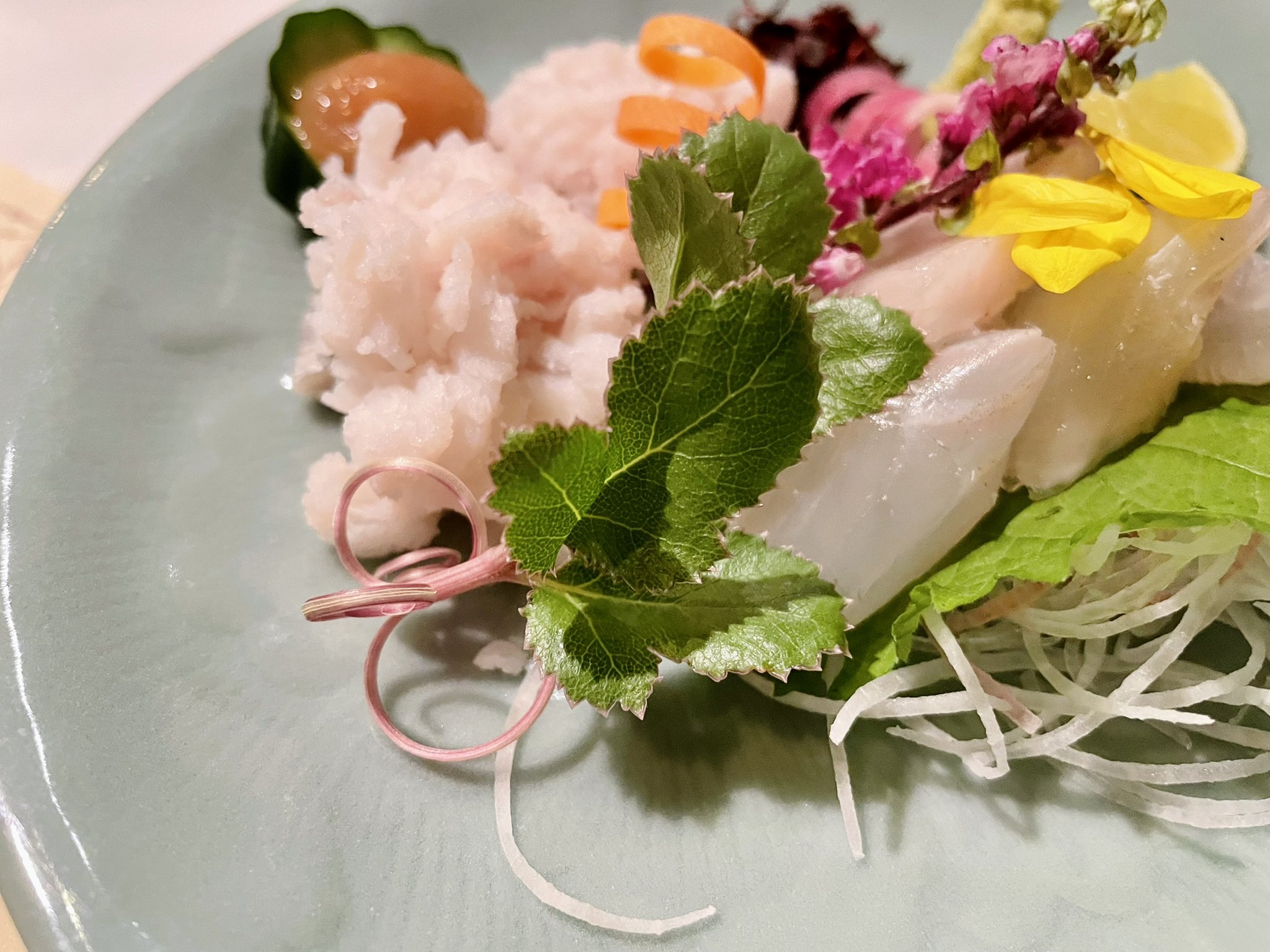 野草を食べる会 京大 Ku Yasou Twitter