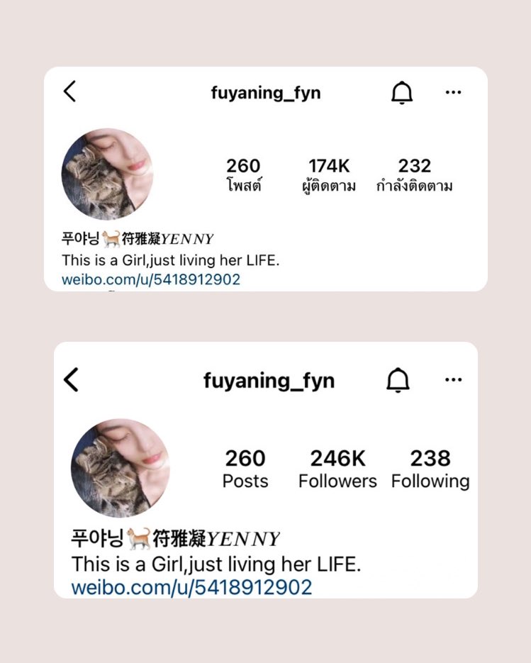 intoyourpm's tweet photo. เด็กซีกรุ้ปปังมากนะ ยอดฟอลในไอจีแต่ละคนคือเพิ่มขึ้นกันเยอะมาก หลังจากนี้ขอให้หย่าหนิง ไช่ปิง รุ่ยฉี เหวินเจ๋อ มีงาน มีฟค.เพิ่มขึ้นเย้อๆ แล้วก็ขอให้แมสเพิ่มขึ้นเรื่อยๆกันทุกคนเลยนะ y—y #GirlsPlanet999 https://t.co/766XOCw72N