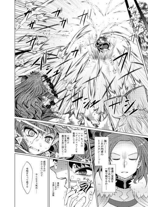 新米マスターとトリ子の楽しい弾幕ごっこ(ぐだが当たると死ぬ) 