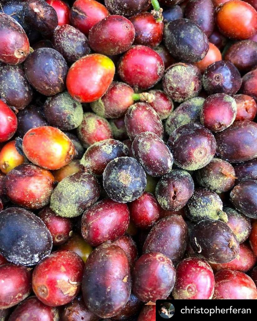 Jeremy Umansky tweet media