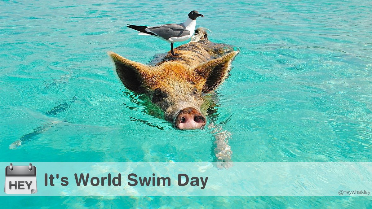 It's World Swim Day! 
#WorldSwimDay #SwimDay #WorldSwimDay2021