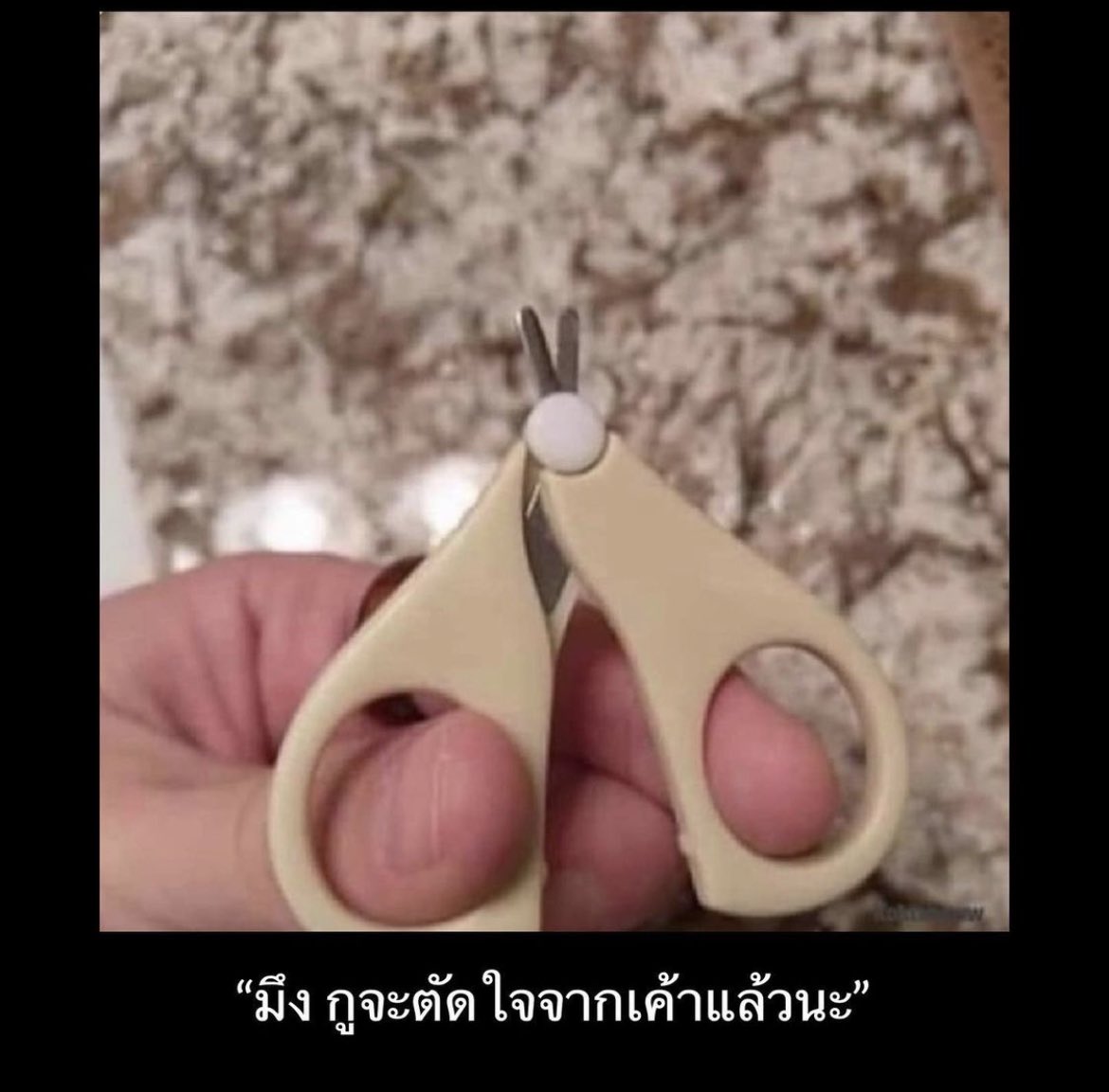 apinzign's tweet photo. @pianowm https://t.co/4tCWAkgETv