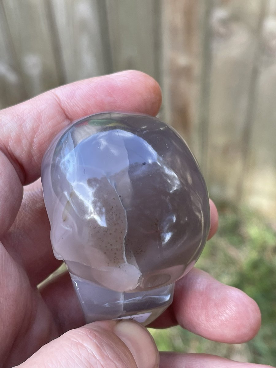 Captive Essence After Dark tweet media