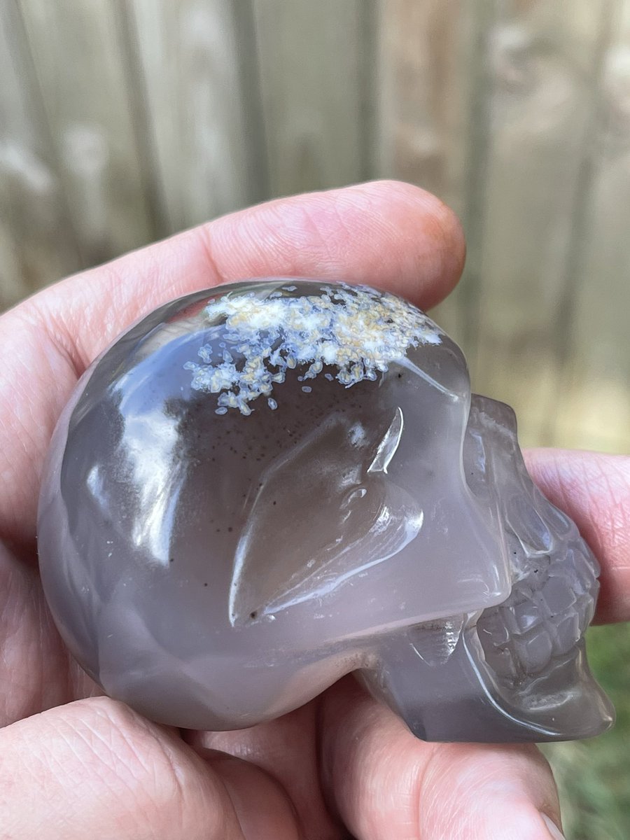 Captive Essence After Dark tweet media