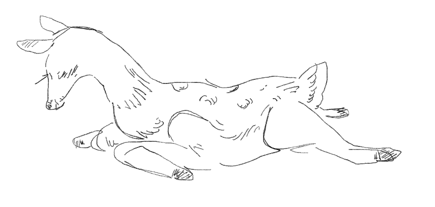 a baby unicorn near indescernable from that of a neeborn doe