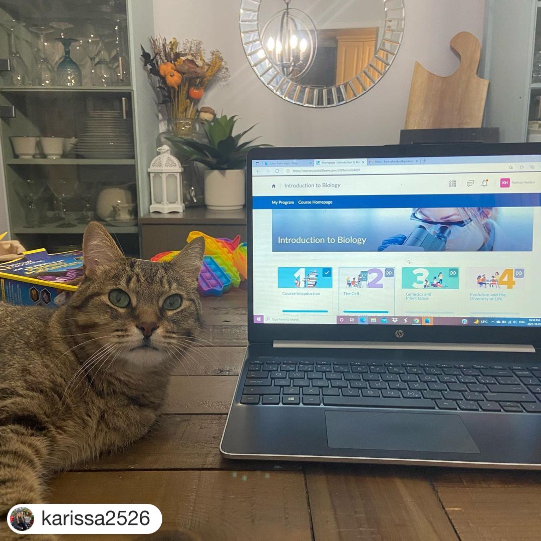 PennFoster's tweet photo. Sometimes, our pets are our biggest cheerleaders when completing schoolwork!🐱 #StudySelfie #PFProud
#Repost @karissa2526
・・・
Study buddies #tripodchase #peteytheturtle #biologystudies #pennfostervettech #ivegotthis💪 🐾 🐢 https://t.co/WmuO2t4URm