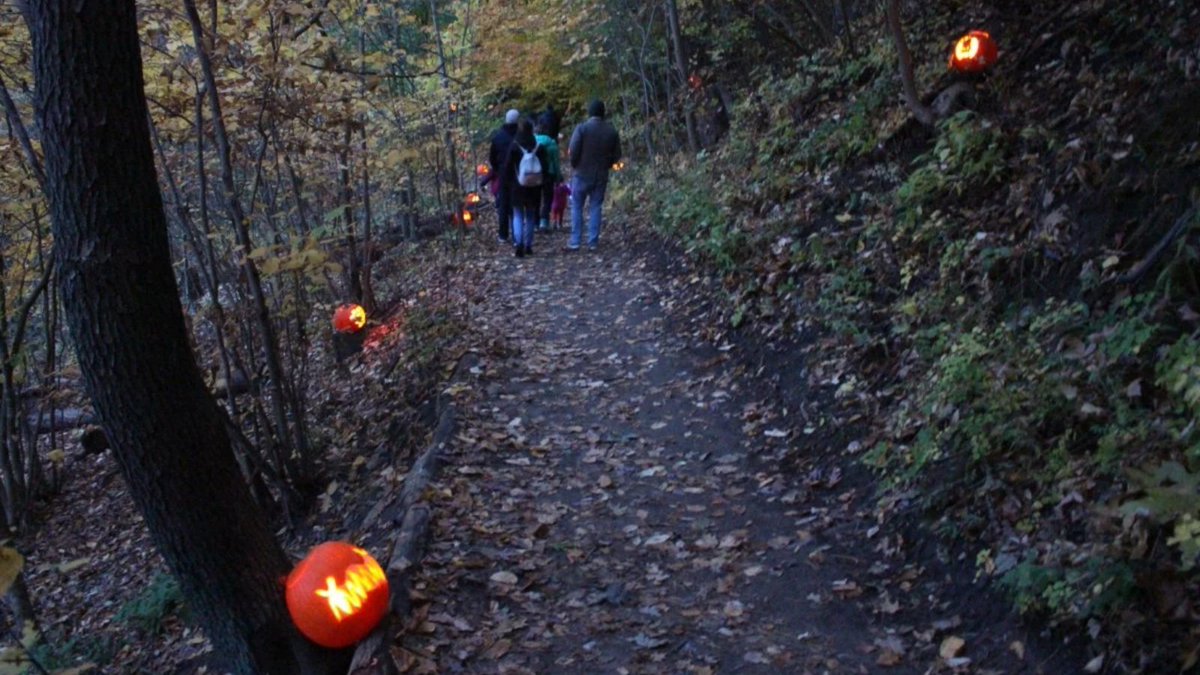 PhantomOntario's tweet image. Enjoy the fall in Ontario, where we've established our office for over 27 years! The following link helps you track the fall colours leaves in our region: ontarioparks.com/fallcolour. Also, if you want to #visitourshowroom, call 1-888-PHANTOM to book an appointment.
📸To Do Canada