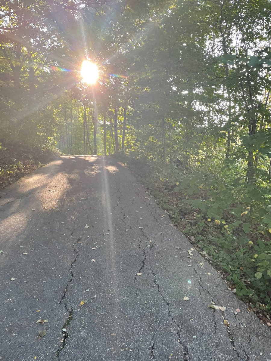 Tap_Dancer_011's tweet image. Post a pic YOU took (no description) to bring some zen to the timeline.