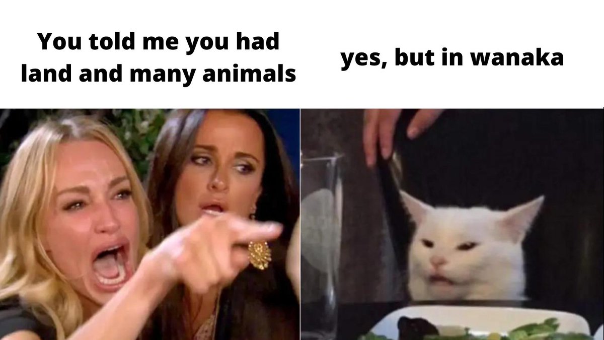 RaffeMicaela's tweet photo. @Wanaka_Farm #Wanameme 🤭🤭🤭 https://t.co/nfzKt9SvGv